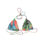 Classic Unpadded Brazilian Triangle Top